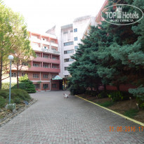 фото из отзыва ID 1490121