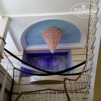 фото из отзыва ID 1490850