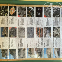 фото из отзыва ID 1490919