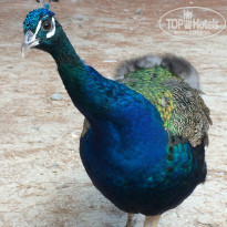 фото из отзыва ID 1490919