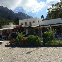 фото из отзыва ID 1490919