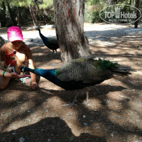 фото из отзыва ID 1490919