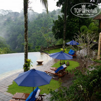 фото из отзыва ID 1493142