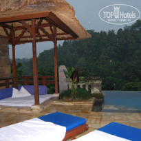 фото из отзыва ID 1493142