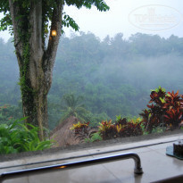 фото из отзыва ID 1493142