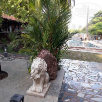 фото из отзыва ID 1495349