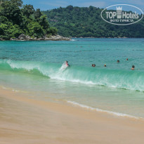 фото из отзыва ID 1498941