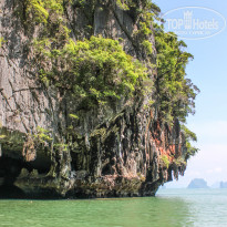 фото из отзыва ID 1498941