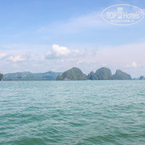 фото из отзыва ID 1498941