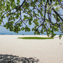 фото из отзыва ID 1498941