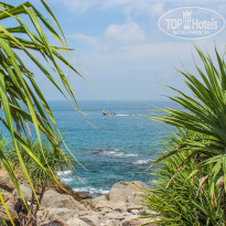 фото из отзыва ID 1498941