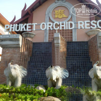 фото из отзыва ID 1503814