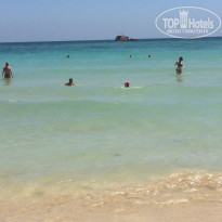 фото из отзыва ID 1509536