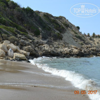 фото из отзыва ID 1509262