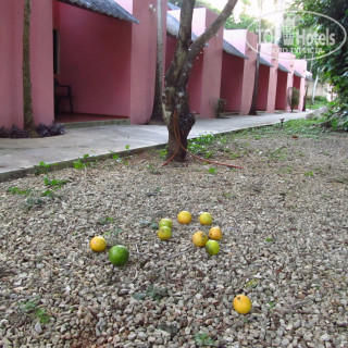 Dolores Alba Chichen Itza Hotel 3*