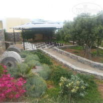 фото из отзыва ID 1507675