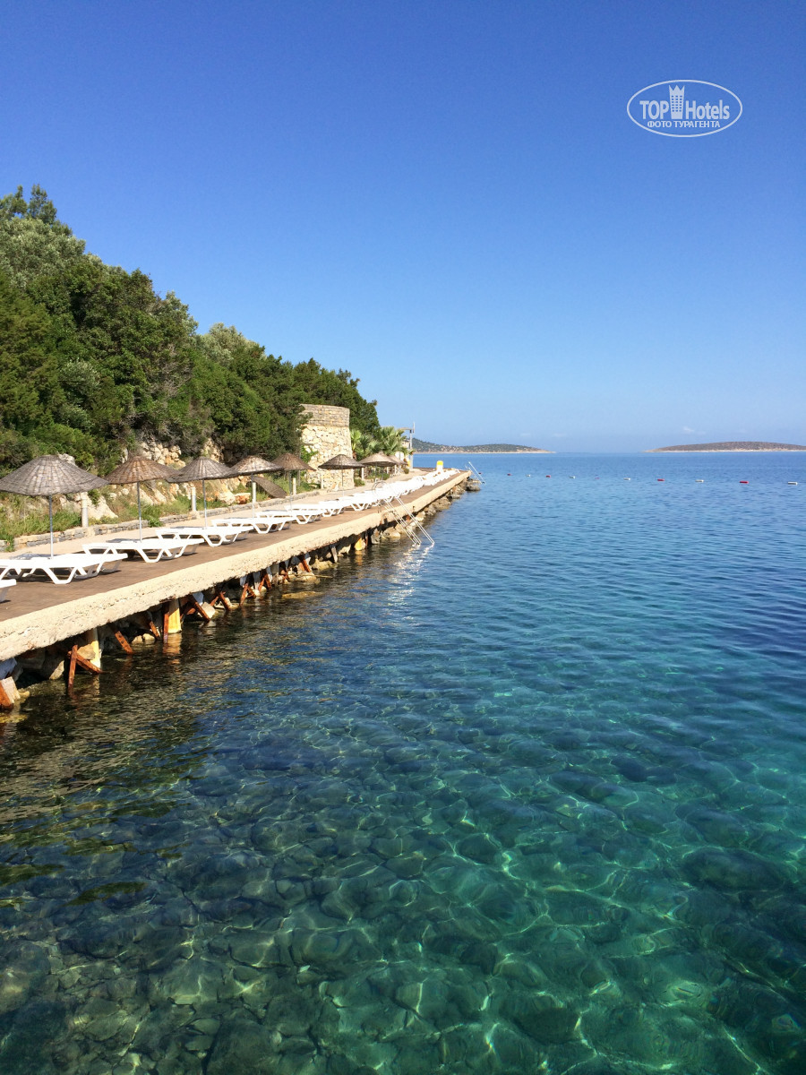 Duja bodrum фото