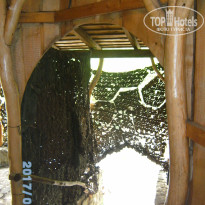 фото из отзыва ID 1515522