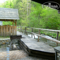 фото из отзыва ID 1515522