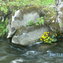 фото из отзыва ID 1515522