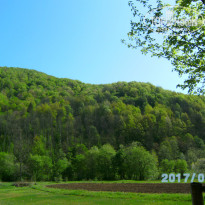 фото из отзыва ID 1515522