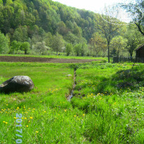 фото из отзыва ID 1515522