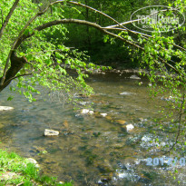 фото из отзыва ID 1515522