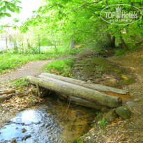 фото из отзыва ID 1515522