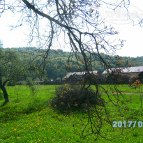 фото из отзыва ID 1515522