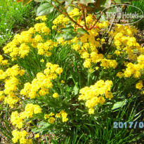 фото из отзыва ID 1515522