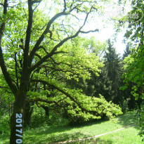 фото из отзыва ID 1515522