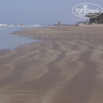 фото из отзыва ID 1522043