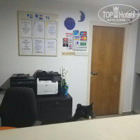 фото из отзыва ID 1522953