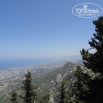 фото из отзыва ID 1527594