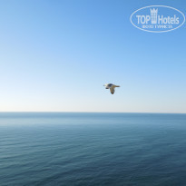 фото из отзыва ID 1529337