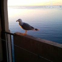 фото из отзыва ID 1529337