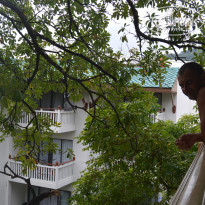 фото из отзыва ID 1542928