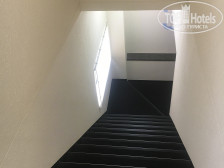 Graphy Nezu Hotel  3*