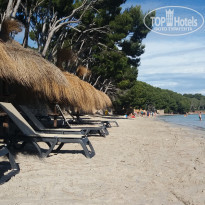 фото из отзыва ID 1547828