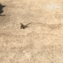 фото из отзыва ID 1558737