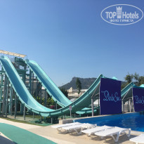 фото из отзыва ID 1561997