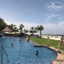 фото из отзыва ID 1564036