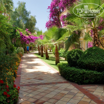 фото из отзыва ID 1566996