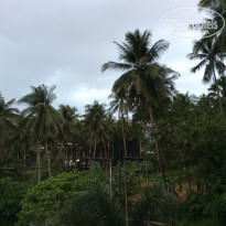 фото из отзыва ID 1562414