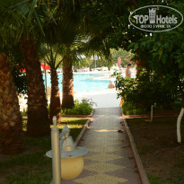 фото из отзыва ID 1568323