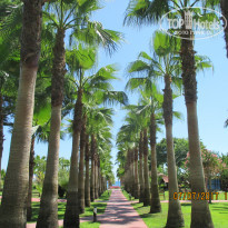 фото из отзыва ID 1570295