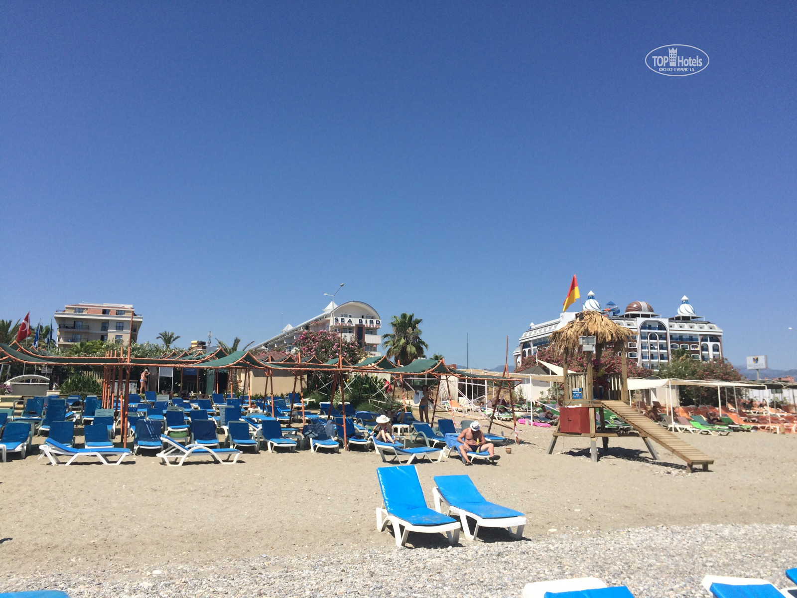 Club sun heaven sea bird отзывы 2024. Club sun heaven sea bird beach. Club sun heaven sea bird beach hotel 4 турция алания. Club sun heaven sea bird отзывы 2024. Club sun heaven sea bird beach hotel.