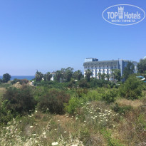 фото из отзыва ID 1575533