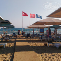 фото из отзыва ID 1577026