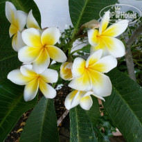фото из отзыва ID 1579595